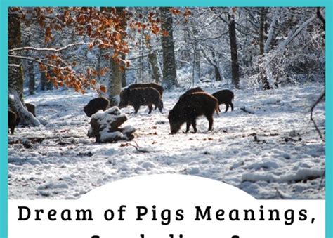 
The Symbolic Meaning Behind Dreams of Wild Boar Pursuit