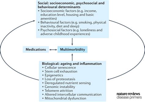  Biological Factors and Dreams Related to Medication 