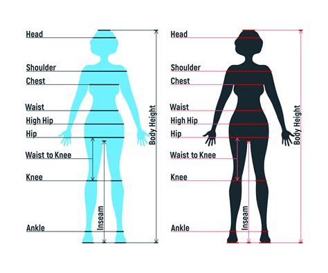  Body Measurements and Fashion Influences 