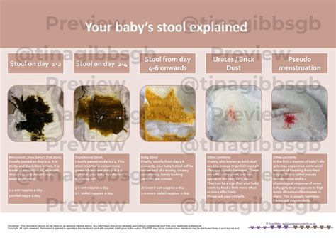  Common Causes of Changes in Infant Stool and Effective Management Strategies 