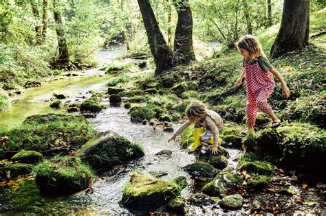  Connecting with Nature: Exploring the Magnificence of a Shimmering Creek 