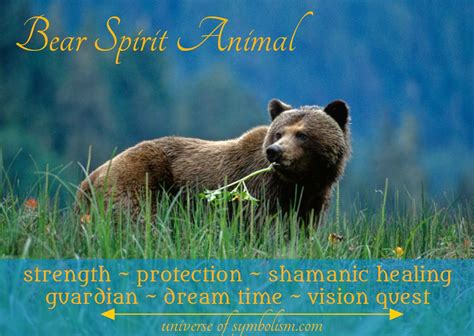  Connection between the Spirit Bear and the Spiritual World: Insights from Shamanic Practices 