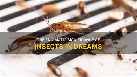  Creepy Crawlies in Dreams: Significance of Insects in Dream Symbolism 