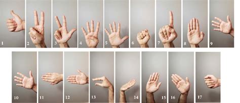  Decoding the Psychological Significance of Gesturing Hand Dreams 