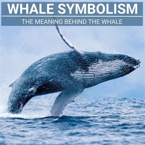  Delving into the Psychological Significance of Dreams featuring Majestic Whales