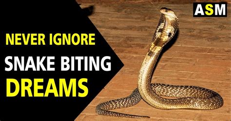  Delving into the Subconscious Significance of Snake Bite Dreams 