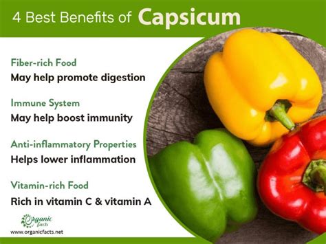  Discover the Numerous Health Benefits of Consuming Spicy Capsicum Varieties 