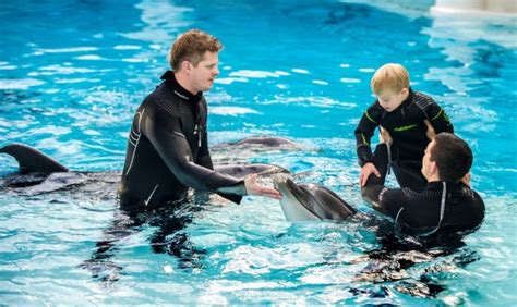  Dolphin-Based Therapy - Healing through Interaction 