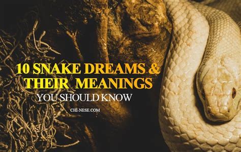  Dreams of Serpents: Significance and Implications 