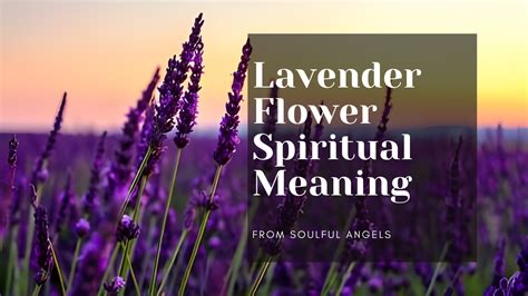  Empowering and Transforming: Unraveling the Spiritual Significance Linked to a Lavender Mantle 