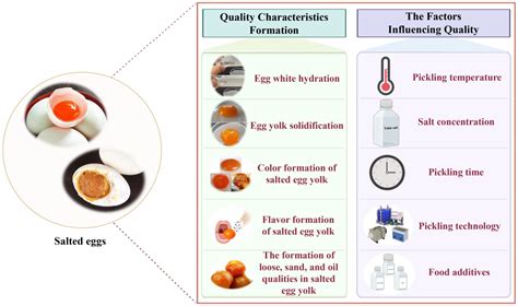  Ensuring Quality and Consistency in Your Egg Products 