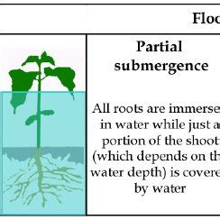  Exploring Various Scenarios of Water Deficiency Encountered in One's Slumber 