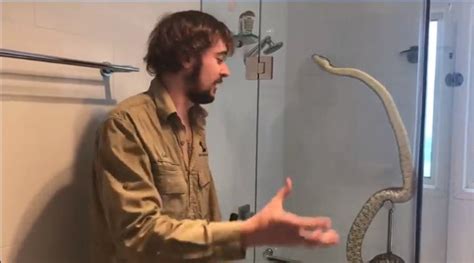  Exploring the Personal Associations with Showers and Snakes 