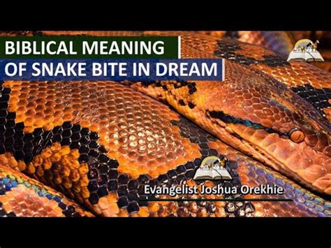  Exploring the Possible Significances and Symbolic Representations in Dreams of a Serpent Biting Your Partner 