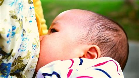  Exploring the Psychological Significance of Dreaming About Trying to Nurture through Breastfeeding