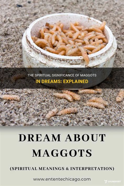  Exploring the Psychological Significance of Maggots in Dreams 