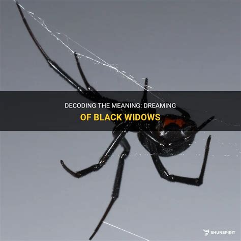  Exploring the Psychological Significance of Multiple Black Widows 