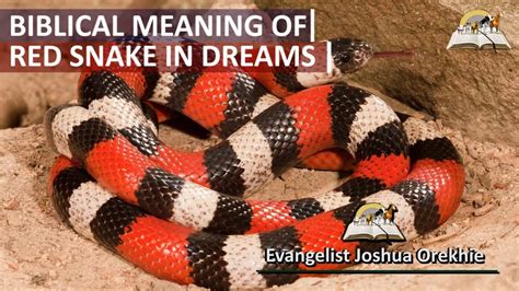  Exploring the Symbolic Significance of Different Snake Colors in Desert Dreams 