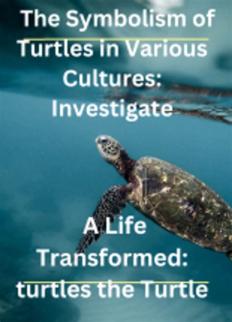  Exploring the Symbolism of Turtles in Various Cultures 