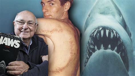  From Hollywood to Reality: Are Shark Attacks as Common as Portrayed? 