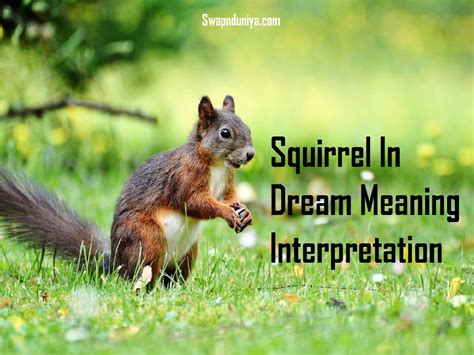  Gaining Self-Awareness Through Interpreting Dreams of Pursuit by a Squirrel 