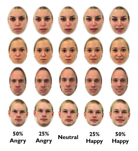  Interpreting the Presence of Familiar Faces 