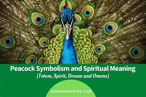  Mystical Significance and Symbolism of the Vision Showing Numerous Reptiles
