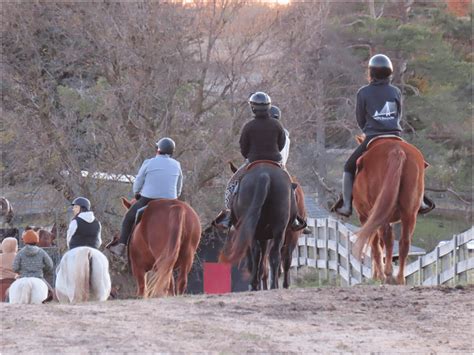  Overcoming Fear and Building Confidence on the Road to Riding