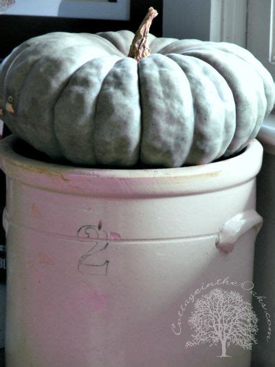  Preserving Pumpkins: Tips for Extending their Lifespan 