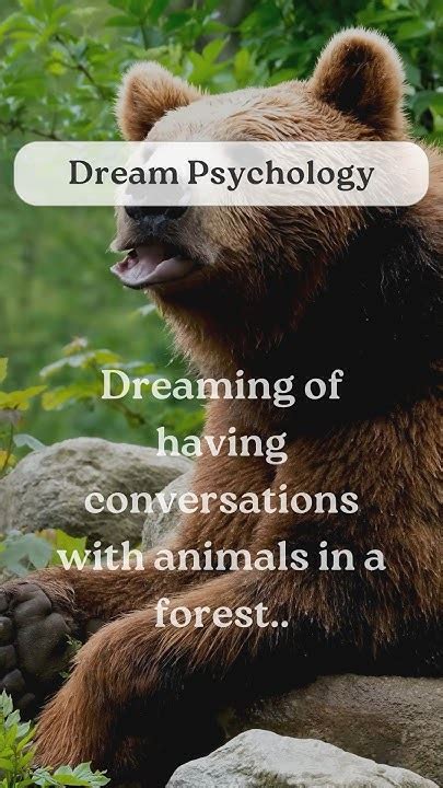  Psychological Implications of Dreaming about Conversations 