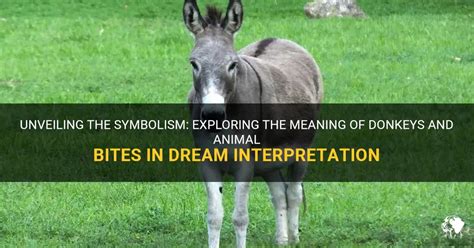  Surprising Insights: The Impact of Animal Species on the Interpretation of Bites in Dreams 