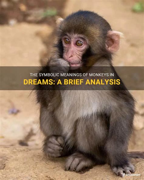  Symbolism of Monkeys in Dreams: Understanding the Meanings 