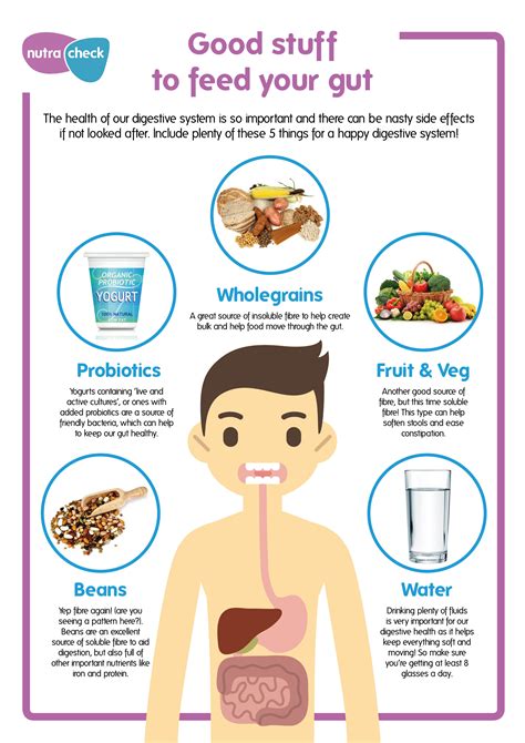  The Connection between Health and Diet: Impact of the Digestive System on Sleep Vision