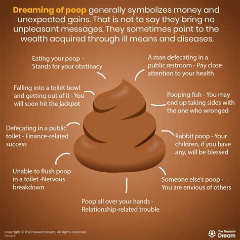  The Influence of Cultural and Personal Factors on the Significance of Dreaming about Feces 