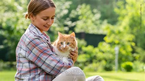  The Significance of Feline Rescue: Gaining Insight into the Value of Saving Young Cats 