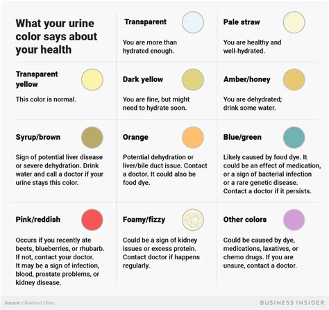  The Significance of Purple Urine in Terms of Health Implications: Potential Indicators to Take Into Account 