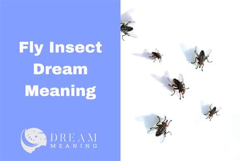  Uncover the Psychological Significance of Fly Dreams 