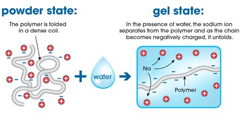  Understanding Your Flow: Discovering the Ideal Absorbency 