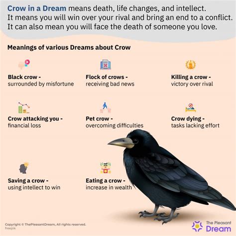  Understanding the Collective Presence of Crows in Dreams 