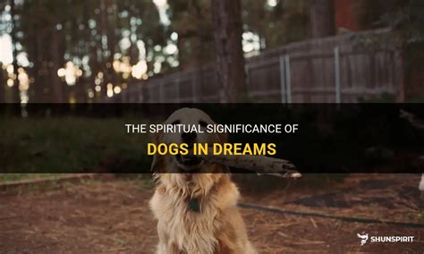  Understanding the Spiritual Significance of the Number Dog in Your Dreams 