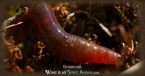  Unlocking the Hidden Significance: Decoding the Symbolism Behind Earthworms 