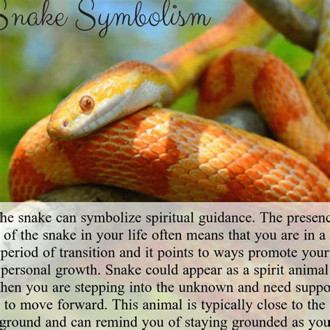  Unlocking the Spiritual Message Behind a Serpent at Your Entryway 