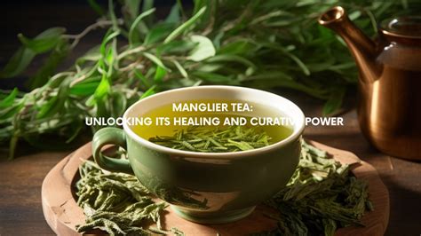  Unlocking the Therapeutic Influence of Tea: Enhancing Your Wellness Naturally 