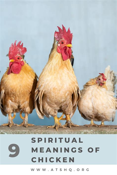  Unraveling the Significance of Abundance and Fertility in Chicken Symbolism 