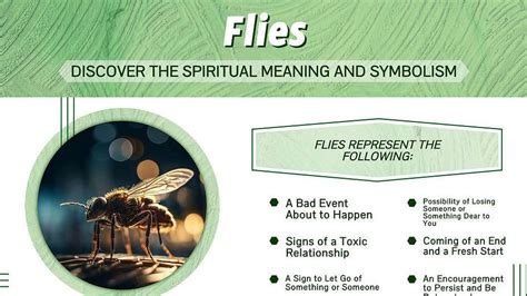  Unveiling the Hidden Significances: What Swarms of Flies Portray in Dreams 