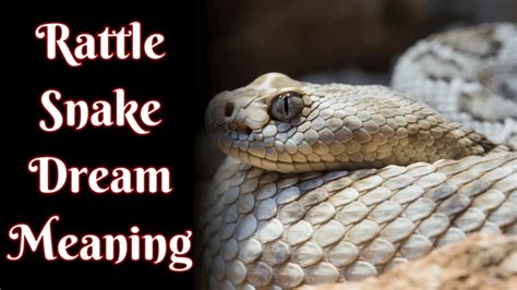  Unveiling the Meaning of Rattlesnakes in Dream Scenarios 