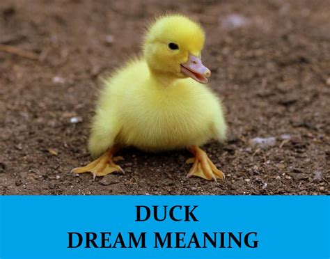  Unveiling the Significance of Eliminating a Waterfowl in One's Dreams 