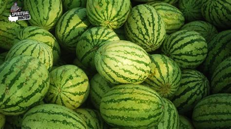  Unveiling the Significance of Watermelon Plants in Dreams 