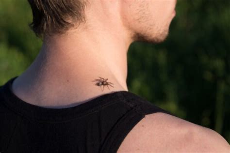  Unveiling the Symbolic Significance: Exploring Dreams Portraying Spider Bites on the Neck 