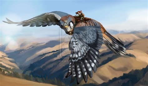  Winged Adventurers: Creatures That Master the Skill of Soaring through the Air 